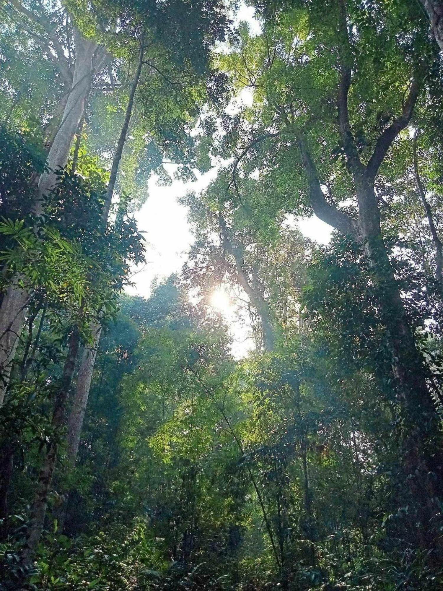 Bee Bee'S Chalets Home Stay And Trekking Banlung Extérieur photo