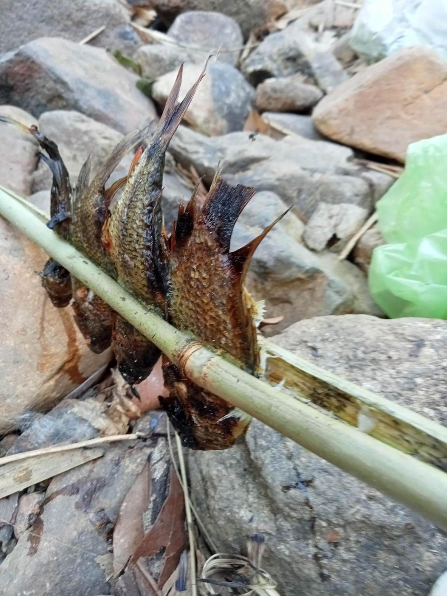 Bee Bee'S Chalets Home Stay And Trekking Banlung Extérieur photo
