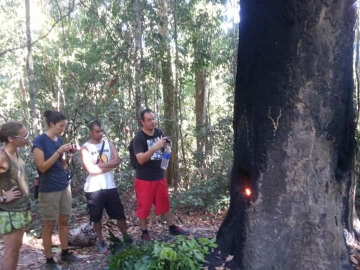 Bee Bee'S Chalets Home Stay And Trekking Banlung Extérieur photo