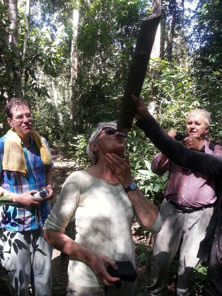 Bee Bee'S Chalets Home Stay And Trekking Banlung Extérieur photo